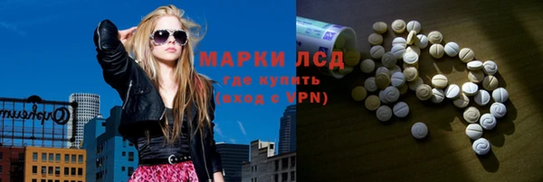 сатива Козельск