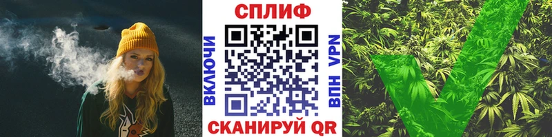 Купить  Буй  Каннабис индика 